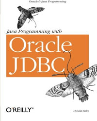 Java Programming with Oracle ODBC 2002